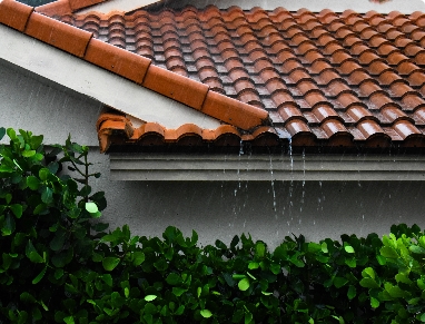 ROOF & GUTTER REPAIR